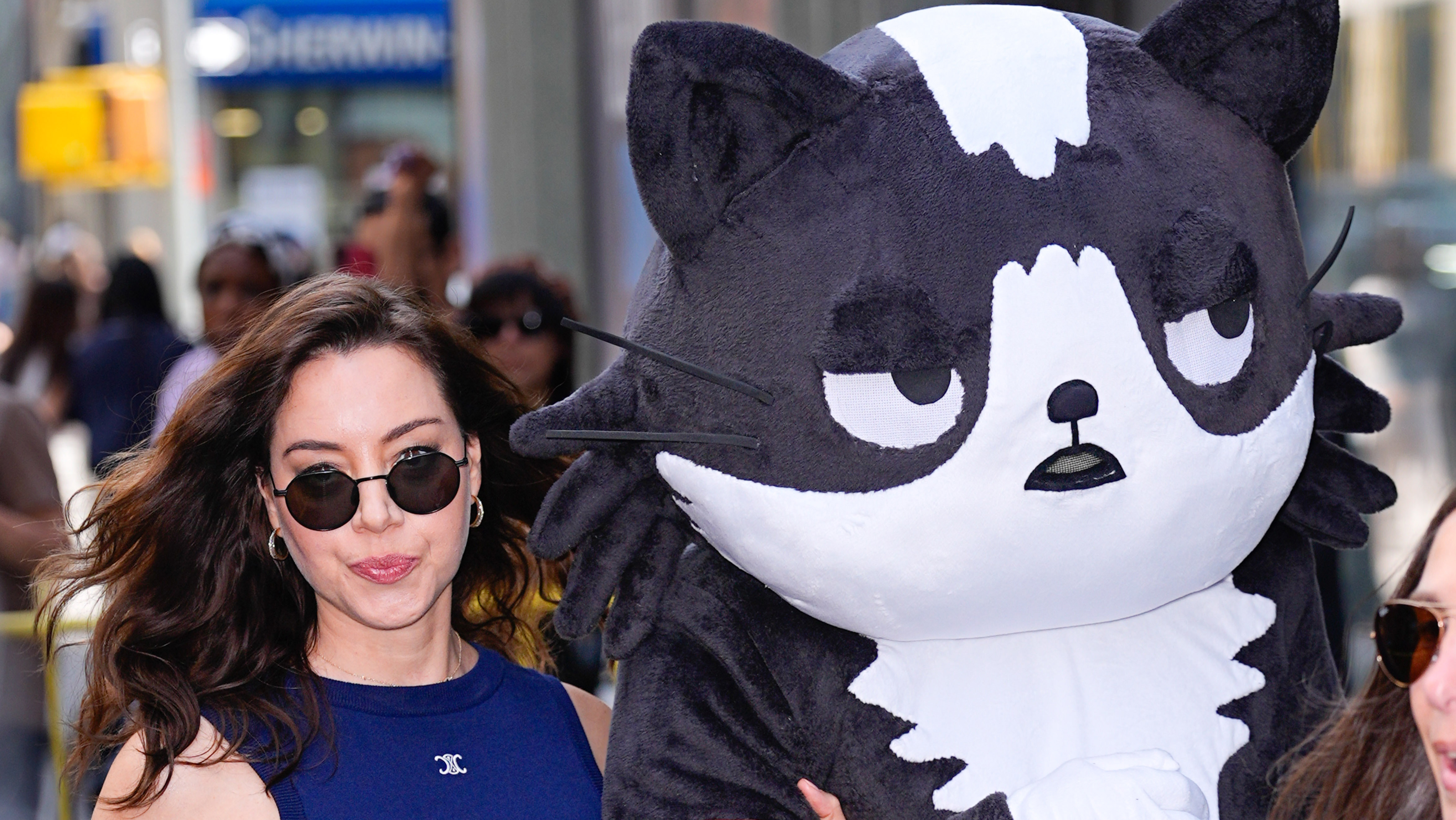 ������� ���� ����� ���������� � ������������ ����� �������� ������������ � ������ ������