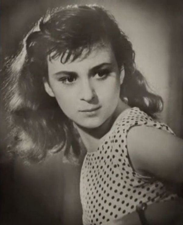 ����� ������������ - ���������� �� ������� �����