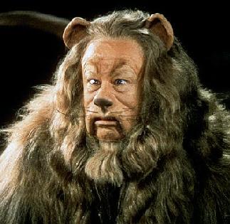 ���� ��� - ���������� �� ������� �����