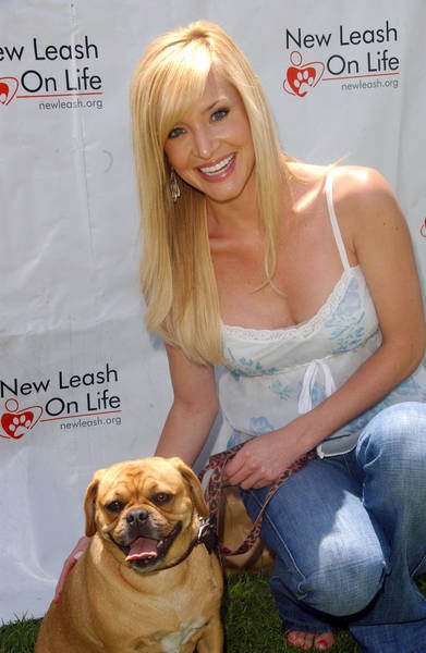 ������ �������� - ���������� �� ������� �����