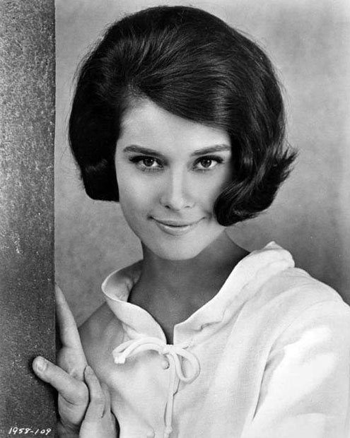 ����� ������ - ���������� �� ������� �����