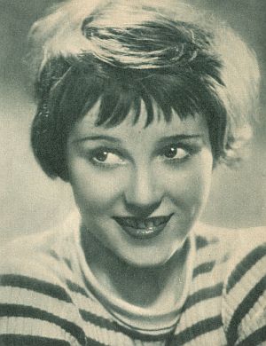 ����� ���� - ���������� �� ������� �����