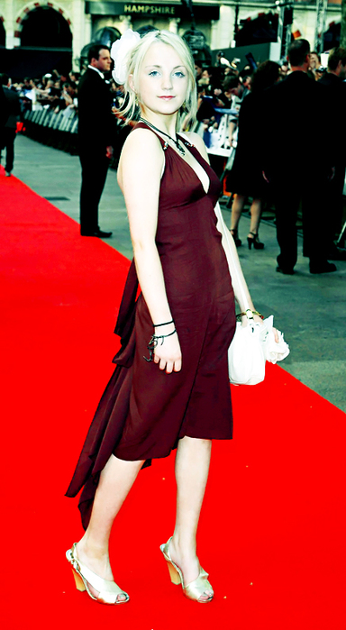 ������ ����