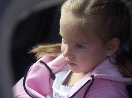 ����������� ��� ������, ������ � ������� ������ ��������� "��������� ����", ����� ����� �� ��������� XVI ������������� "��������"