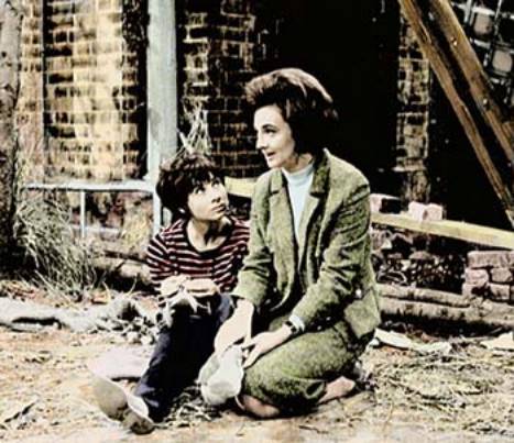 ������ ���� - ���������� �� ������� �����