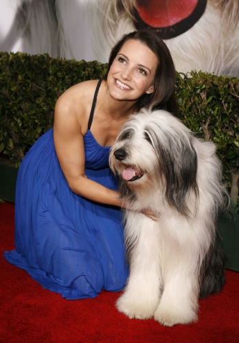 ������� ����� - ���������� �� ������� �����