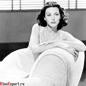 ���� ������