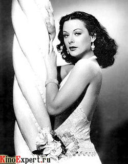 ���� ������