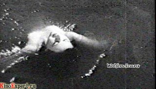 ���� ������