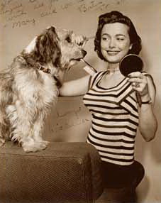 ����  ������ - ���������� �� ������� �����