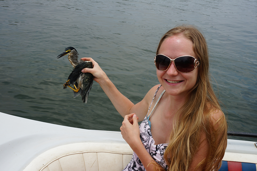 ���� ������