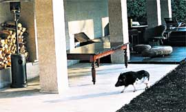 ����� �������