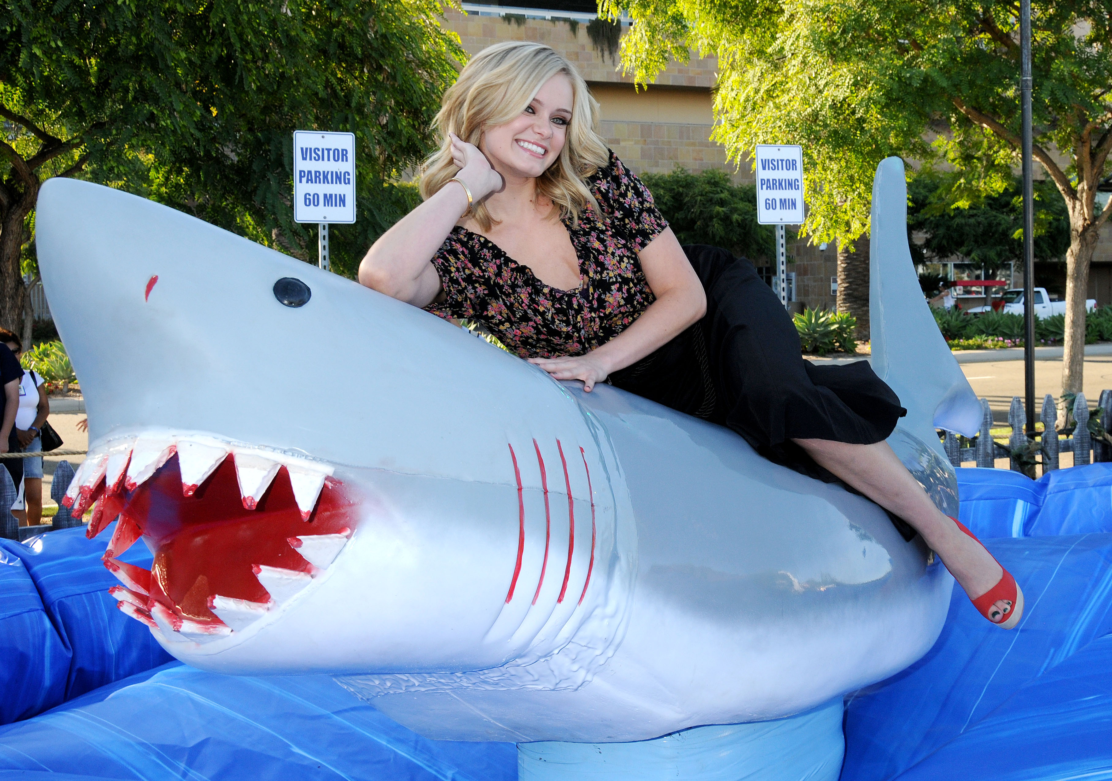 ���� �������