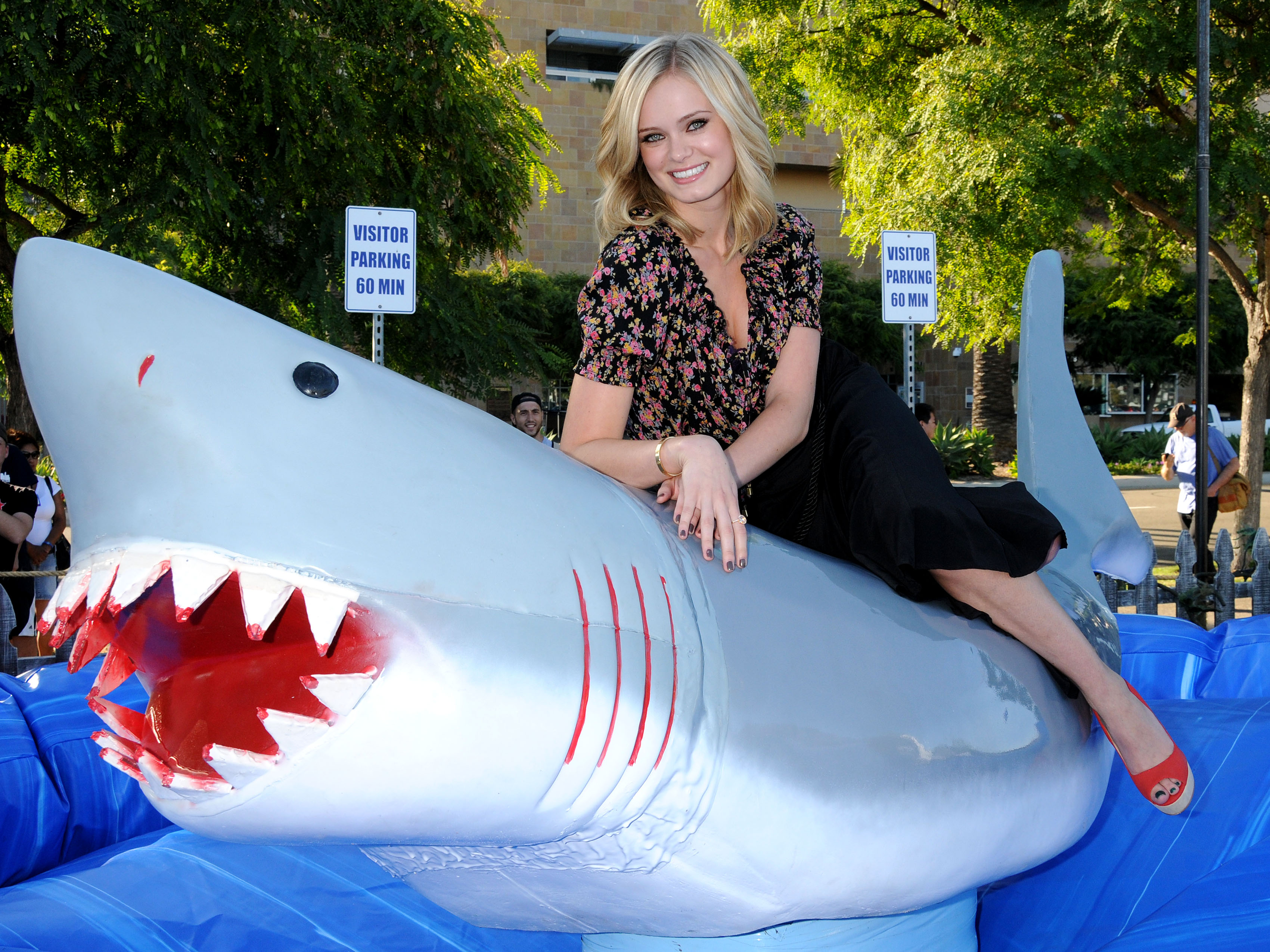 ���� �������