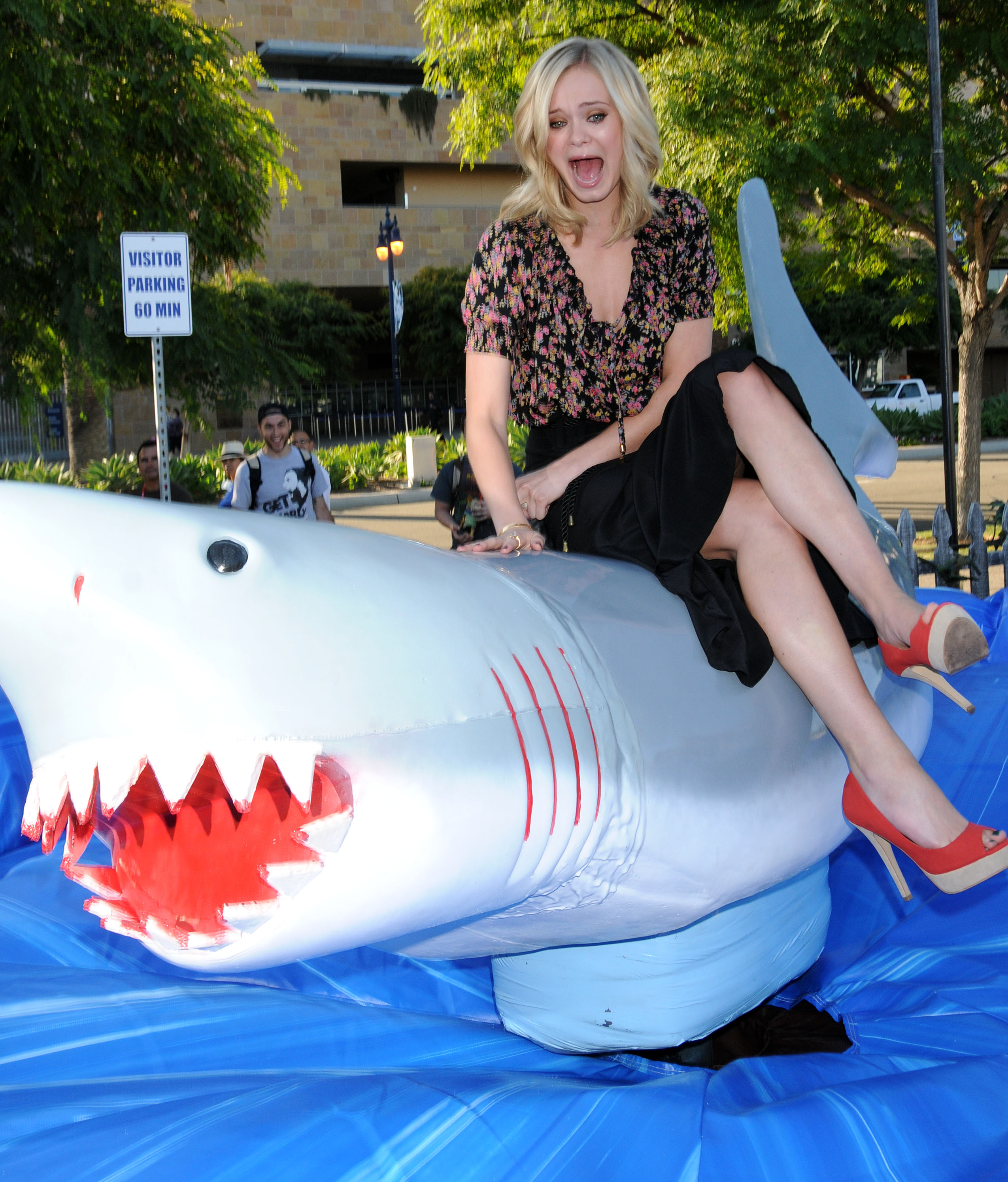 ���� �������