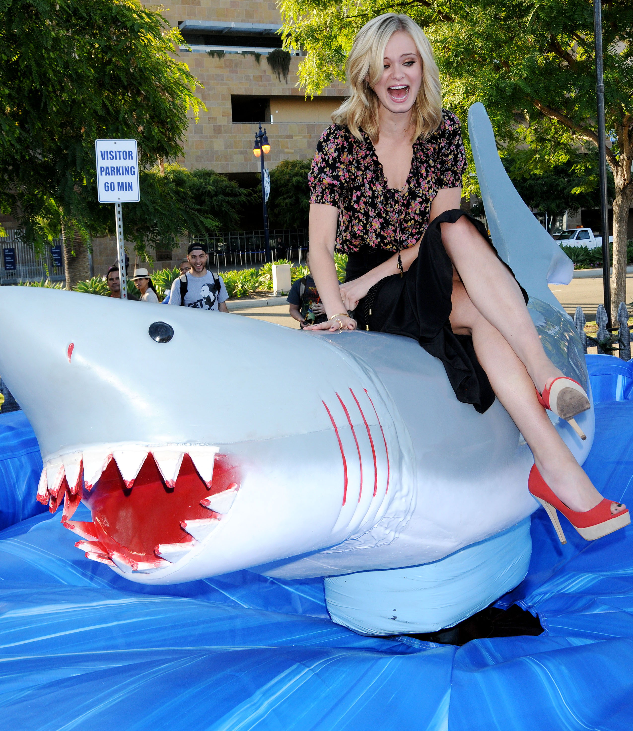 ���� �������