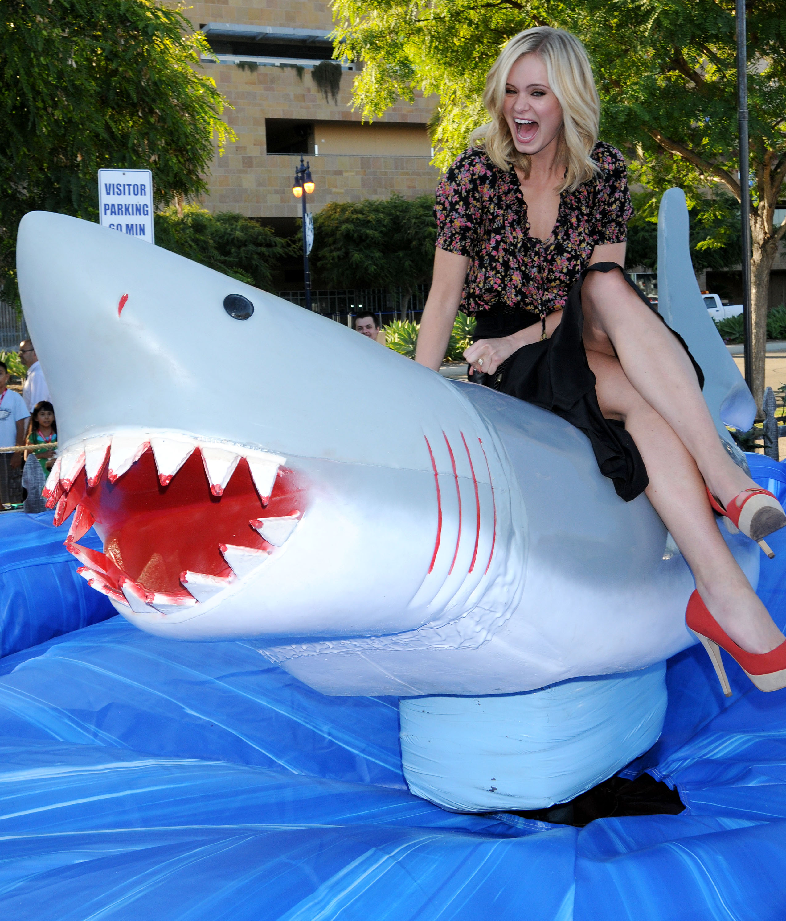 ���� �������