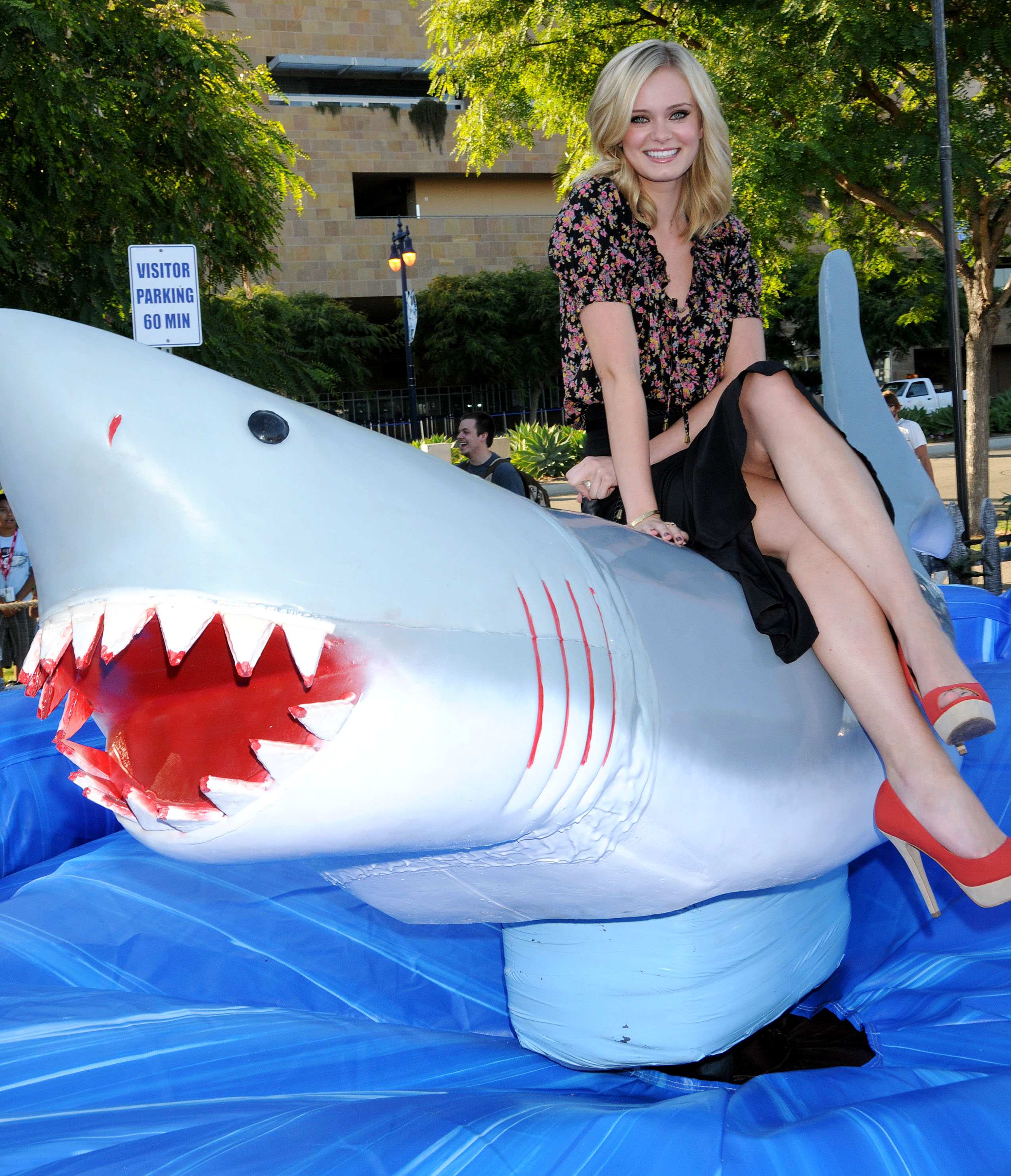 ���� �������