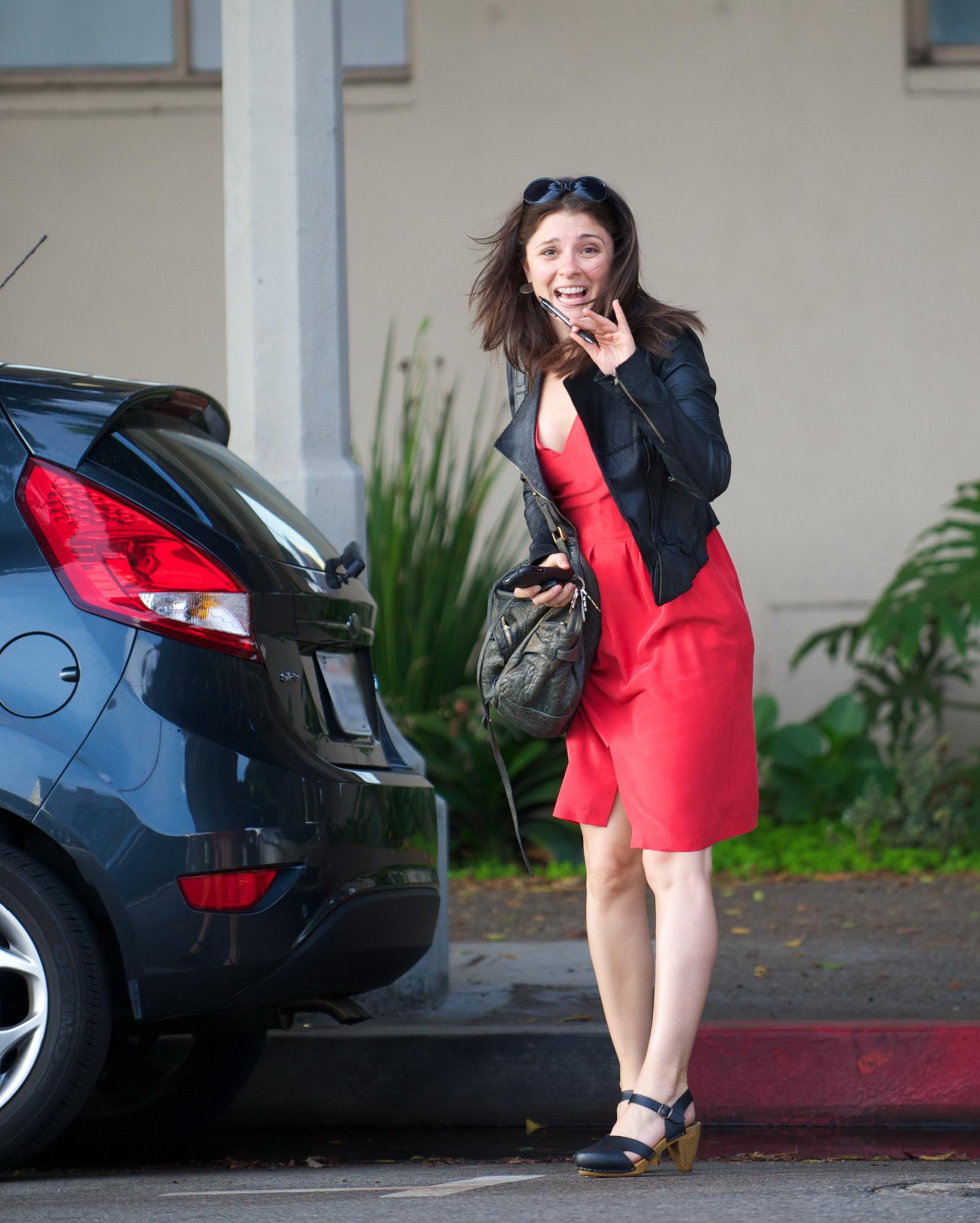 ���� ������