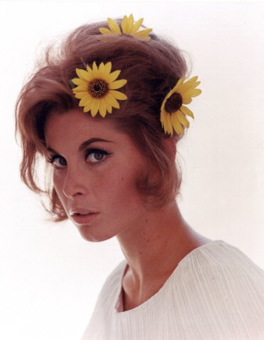 ������� ������ - ���������� �� ������� �����