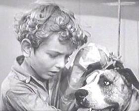 ����� ������� - ���������� �� ������� �����