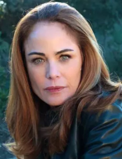 ���� ������ - ���������� �� ������� �����