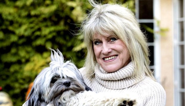 ������ ������� ������ - ���������� �� ������� �����