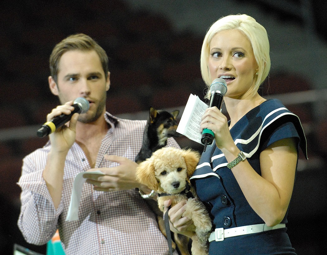 ����� �������