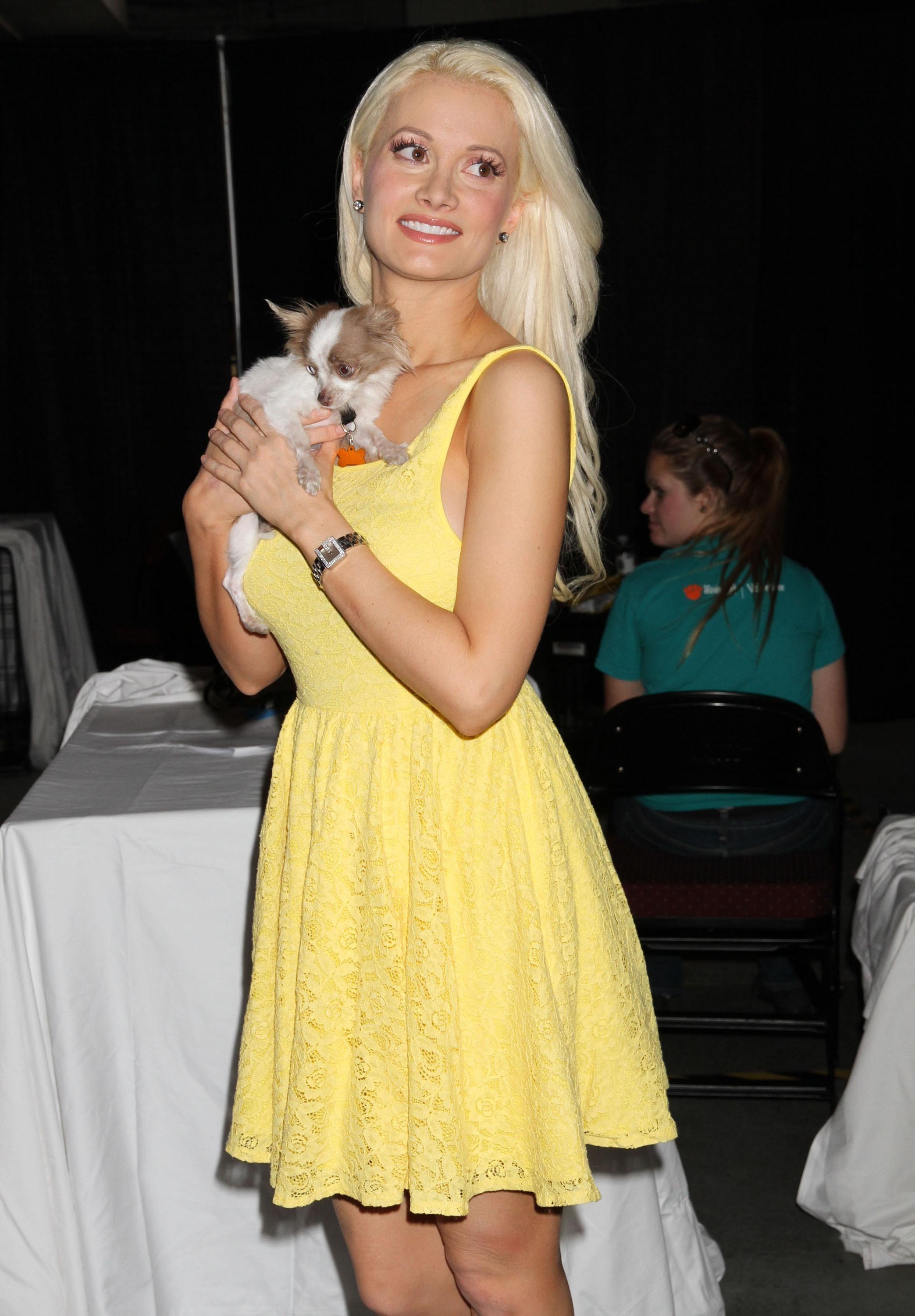 ����� �������