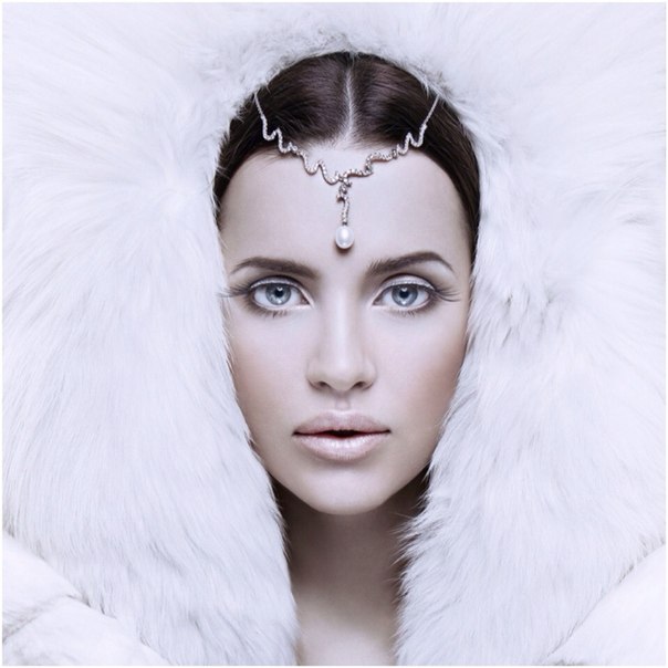 ���� ������ - ���������� �� ������� �����