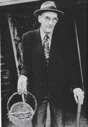 ������ �������