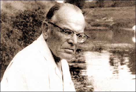 ���������� �����������