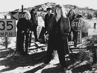  Great White - ���������� �� ������� �����