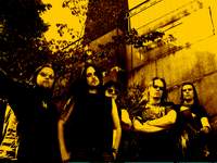  Crown - ���������� �� ������� �����