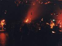  Kong - ���������� �� ������� �����