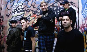  Zebrahead