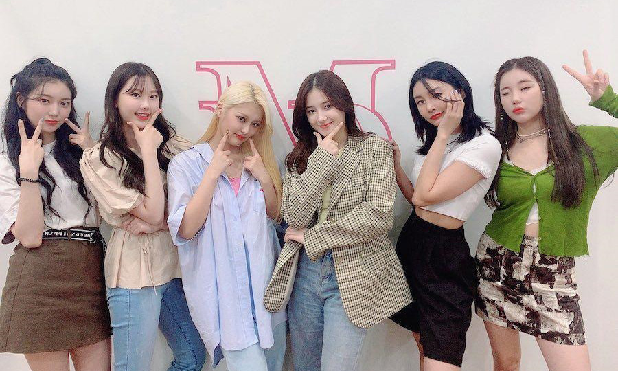   Momoland - ���������� �� ������� �����