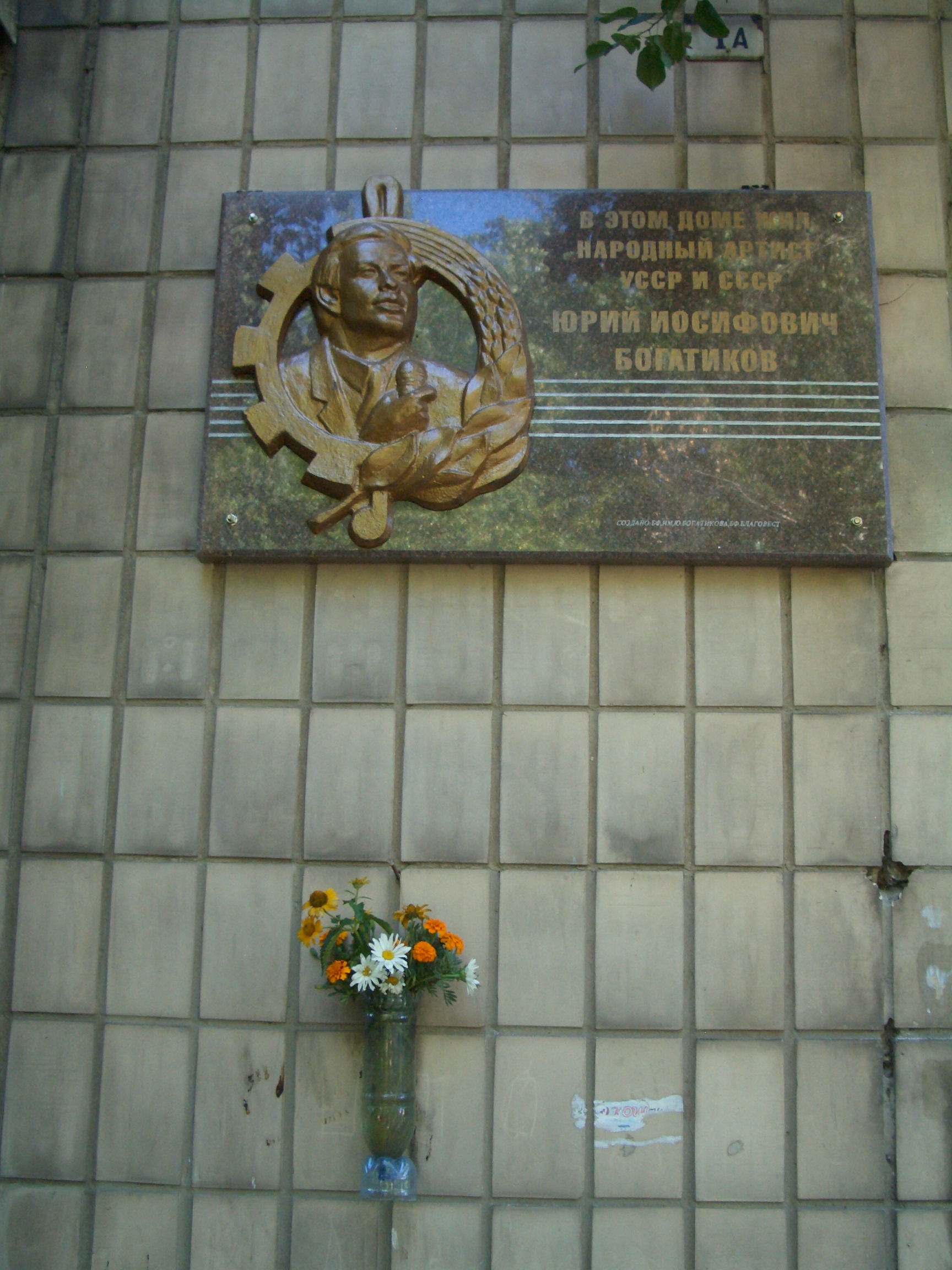 ���� ���������