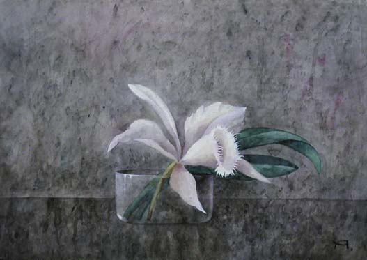 ����� ������