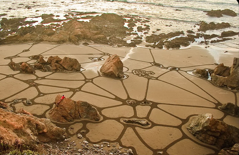 ������ ������