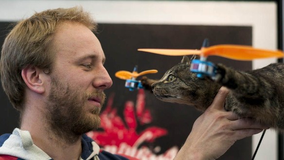 ���� ����� - ���������� �� ������� �����