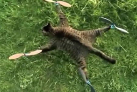 ���� �����