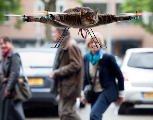 ���� �����