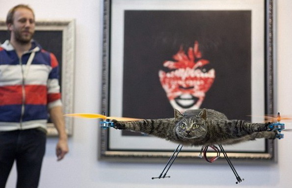 ���� �����