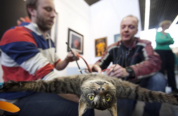 ���� �����