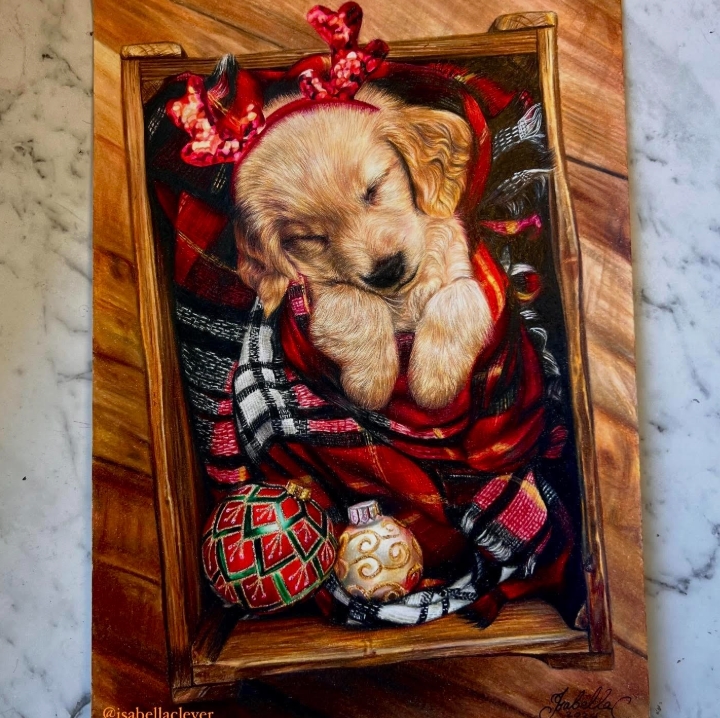 ������ �������� �����������. ����: isabellaclever.com