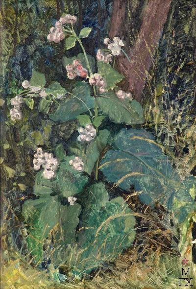 ����� ��������