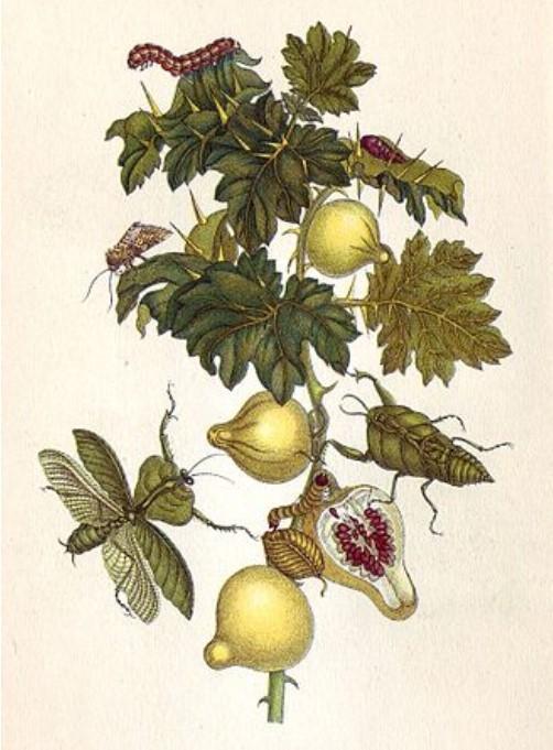 ����� ������ - ���������� �� ������� �����