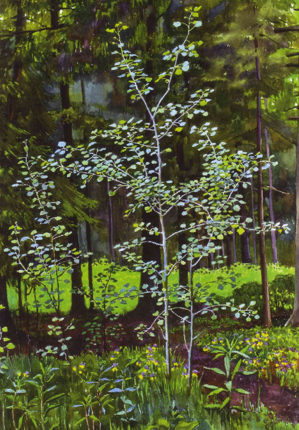 �������. �������� �.��������