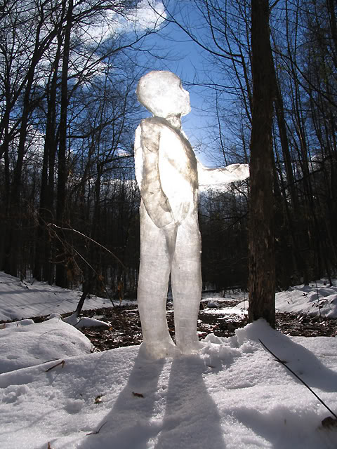 ���� ��������